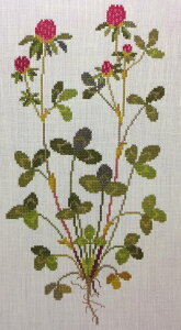 t NXXeb` hJLbg yCLOVER@TLcNT z ̉ԁ@n[uƖ򑐁@f}[N AイLbg@҂㋉Ҍ@Designer : Gerda Bengtsson