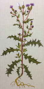 t NXXeb` hJLbg yTHISTLE z ̉ԁ@n[uƖ򑐁@f}[N AイLbg@҂㋉Ҍ@Designer : Gerda Bengtsson