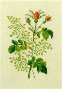 t NXXeb` hJLbg yt`[YzԂƎ؁@f}[N AイLbg