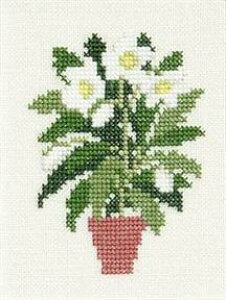 t NXXeb` hJLbg yCHRISTMAS ROSEz i f}[N AイLbg