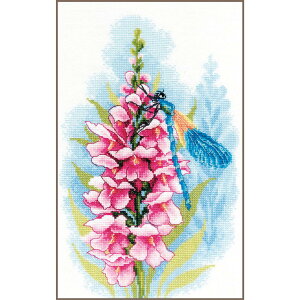 i[e@NXXeb` hJLbg yDRAGONFLY'S TREASUREz LanArteV[Y@ AイLbg @xM[@҂㋉Ҍ