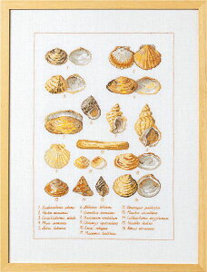 �y���~���iPermin�j �N���X�X�e�b�`�����イ�L�b�g �A�� �L�k seashells �f���}�[�N �k��