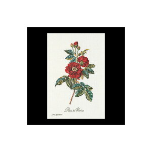 �e�A�@�O�[�x���k�[���@�N���X�X�e�b�`�h�J�L�b�g �yRose van Spaendonck�z�����ҁ[�㋉�Ҍ��� �������񂹃L�b�g�i�[����30-90�����x�j