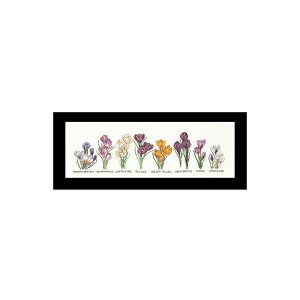 �e�A�@�O�[�x���k�[���@�N���X�X�e�b�`�h�J�L�b�g �yCrocus Panel�z�����ҁ[�㋉�Ҍ��� �������񂹃L�b�g�i�[����30-90�����x�j