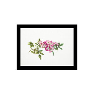 eA@O[xk[@NXXeb`hJLbg yMozart zҁ[㋉Ҍ 񂹃Lbgi[30-90xj