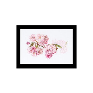 eA@O[xk[@NXXeb`hJLbg yBlossom zҁ[㋉Ҍ 񂹃Lbgi[30-90xj