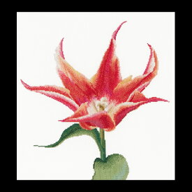 テア　グーベルヌール　クロスステッチ刺繍キット 【Red / Orange Lily flowering tulip】中級者ー上級者向き ☆お取り寄せキット（納期は30-90日程度）