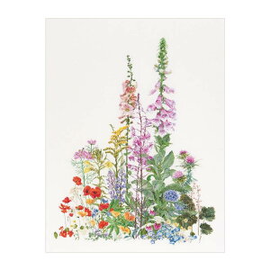 ���݌ɂ��聙�e�A�@�O�[�x���k�[���@�N���X�X�e�b�`�h�J�L�b�g �yAmerican Wild Flowers �z�����ҁ[�㋉�Ҍ��� �������񂹃L�b�g�i�[����30-90�����x�j���l��