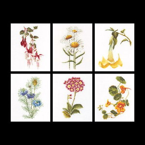 �e�A�@�O�[�x���k�[���@�N���X�X�e�b�`�h�J�L�b�g �ySix Floral Studies�z�����ҁ[�㋉�Ҍ��� �������񂹃L�b�g�i�[����30-90�����x�j�A�C�[�_