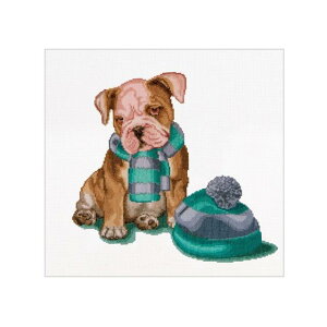 �e�A�@�O�[�x���k�[���@�N���X�X�e�b�`�h�J�L�b�g �yIt's cold outside�z�����ҁ[�����Ҍ��� �������񂹃L�b�g�i�[����30-90�����x�j