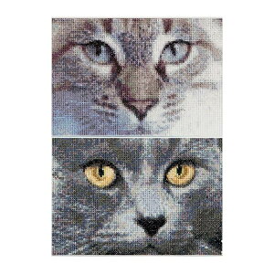 �e�A�@�O�[�x���k�[���@�N���X�X�e�b�`�h�J�L�b�g Cats Jack + Luna �����ҁ[�����Ҍ��� �������񂹃L�b�g�i�[����30-90�����x�j