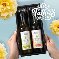 父の日 健康応援！ 国産 酵素ドリンク 美味しい 優光泉 ギフトセット(200ml×2本）食事代わり 植物性発酵…