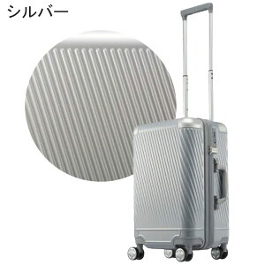 yN[|zG[X X[cP[X ACE STCY 31L @ L[P[X TSbN 2-3 y ASi2-Z ace. TOKYO LABEL g[L[[x Wbp[^Cv 05061 
