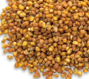 ₦G߂̌NێɖV؂Β100gkCY@ܖ2022N927ʂ΂̖100{̃|tFm[̃`ܗL􁚋ŐG߂̔eɃVXEEx_