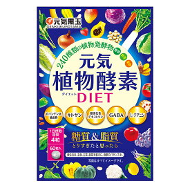 元気黒玉植物酵素DIET120粒　春太り対策に♪賞味期限2026年1月17日太りやすくなる季節の健康酵素ダイエットに白インゲン豆抽出物・キトサン・難消化性デキストリン・GABA・L-テアニン配合♪糖質&脂質対策にも240種類の植物発酵物♪