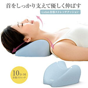 Cellsh ؃Xgb`NbV@xݏAQOɂ110xėDL΂̈EEɒ悭UA[`Ɏx邱ƂŗDグXgb`