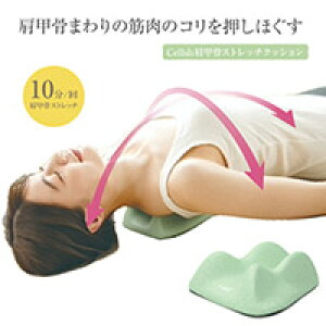 CellshbXgb`NbVLw΍ɂNɉقĂĂ悤ȋC悳̊E^fނ̒e͂̂ˋNN܂̋ؓOCƐ[܂Ŏh