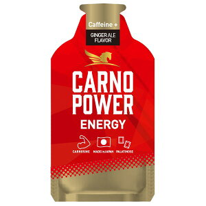 11܂őJmp[ ENERGYWW[G[GINGER ALE flavor3140gɃJmV50mgp`m[X2ɃJtFC20mgz^^ȂǃpbP[W㕔𐅕