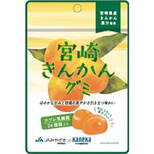 {肫񂩂O~u_ۓ40g×8ܖ2026N311JAS_݂₴×JlJHiR{O~{茧Y񂩂ʏ`gpق̂ȊÂ݂Ƒu₩Ȗ킢̉ʏ`WO~̒