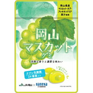 JlJ R}XJbgO~ u_ۓ40g×6ܑܖ2026N69RY}XJbgEIuEALThAʏ`gpFȍƔZȖ킢̃WO~̒ɕ