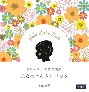 ̂񂫂pbNtB^Cv4@PGXeɃS[hGXepbNGXeTŎgpĂ24KEł