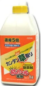 IEXv[e퓙5{ɔ߂ĂgpIȒPƂɁI͂`G (Zk5{^Cv) 1L