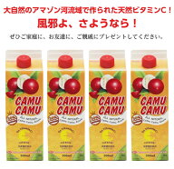 18日以降発送♪酷暑の美味しいビタミンCに30%カムカム果汁入り5倍濃縮飲料1本紙パック500ml×4本賞味期限…