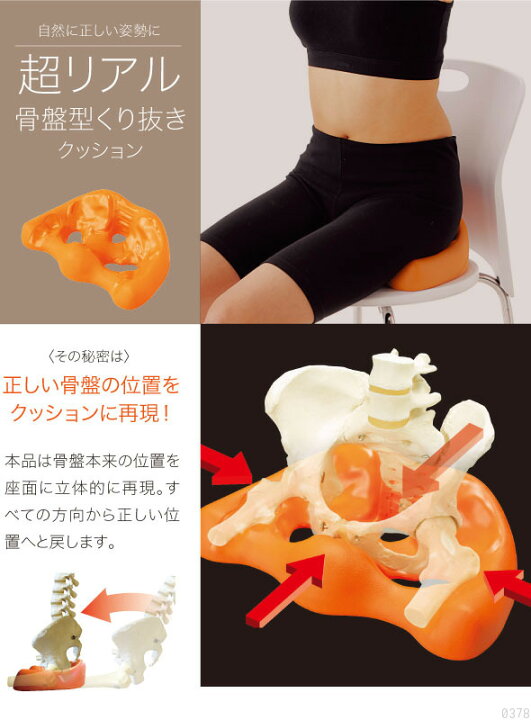 楽天市場】背すじもピシッと骨盤スタンドオレンジ 送料無料♪座るだけ 