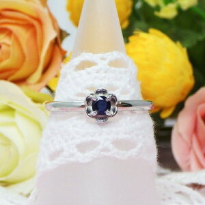 1212܂ŌNX}X蓾|Cg20{؂Ȑlւ̃v[gɁI9̒a΃Tt@CA@Vvt[O EVo[925E{E[10O