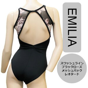 yEMILIAzXbVC ubN[YbVobN I^[h _XPCg bVoGI^[h ԕ̍bV