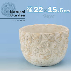 Aؔ  AeB[N C `[t  fUC  킢 k g K[f K[fjO | ؉