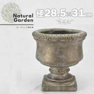 Aؔ  AeB[N NVbN fUC  킢 k g K[f K[fjO | ؉