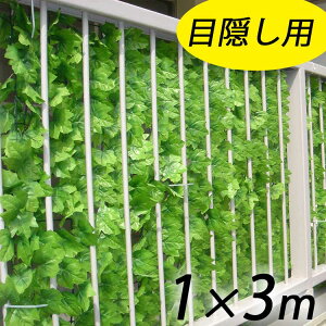 目隠し 観葉植物の人気商品 通販 価格比較 価格 Com