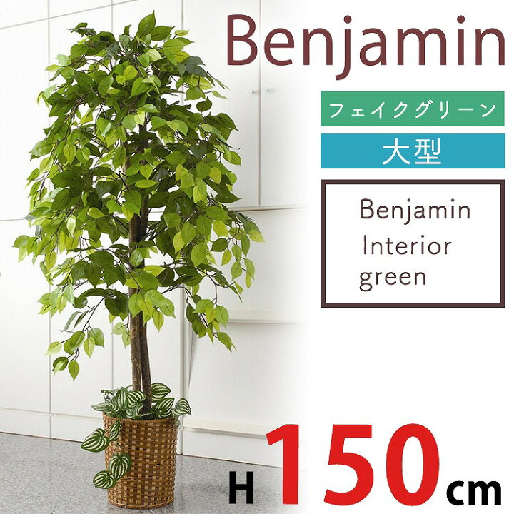 楽天市場 観葉植物 大型 1 5m 150cm フェイク 鉢 付き ベンジャミン 高い 大きい インテリア 造花 天然木 お祝い プレゼント グリーン 事務所 部屋 間仕切り お手入れ 不要 室内 ギフト 贈り物 モダン おしゃれ 目隠し リビング 模様替え オフィス 雑貨 居間