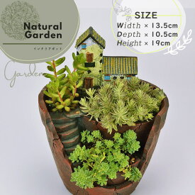楽天市場 寄せ植え 植木鉢 植木鉢 プランター ガーデニング 農業 花 ガーデン Diyの通販