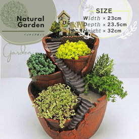 楽天市場 寄せ植え 植木鉢 植木鉢 プランター ガーデニング 農業 花 ガーデン Diyの通販