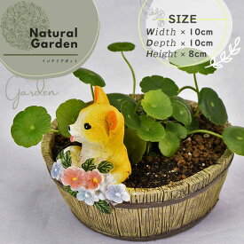 楽天市場 犬 プランター 植木鉢 プランター ガーデニング 農業 花 ガーデン Diyの通販