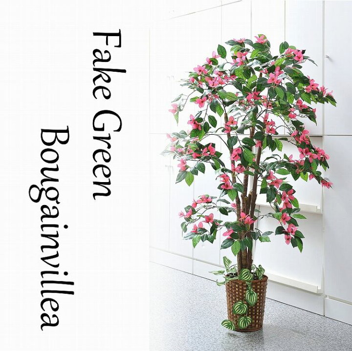楽天市場 人工観葉植物 ブーゲンビリア フェイクグリーン 大型 大きい 事務所 インテリア 造花 フェイク グリーン 部屋 空間 快適 お手入れ 不要 自宅 室内 用 ギフト 贈り物 モダン おしゃれ 目隠し リビング 飾り 屋内 模様替え オフィス 雑貨 居間 大きい