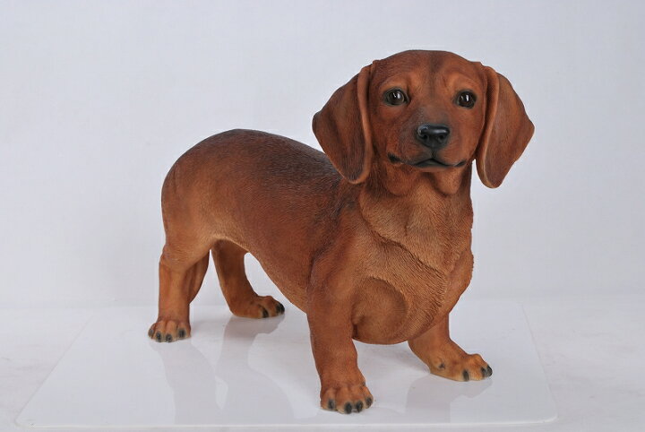 楽天市場 ガーデンオーナメント ダックスフンド 犬 リアル 置物 庭 かわいい ダックスフント 動物 本物そっくり オブジェ おしゃれ ガーデニング 外国風 ガーデンマスコット ダントツonline