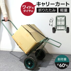キャリーカート 折りたたみ 耐荷重60kg ワイドタイヤ 軽量 アウトドア 釣り 引っ越し 重量物 運搬台車 大きいタイヤ 頑丈 台車 ハンドキャリー 固定紐付き 砂浜 ビーチ 運搬 カート マルチキャリー あす楽