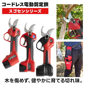 �R�[�h���X�d�������� �X�S�Z���v��/�X�S�Z��/�X�S�Z�����C�g �X�S�Z���O�Z�� EP-721/EP-720/EP-719 �I�ׂ�3�^�C�v �[�d�� ����͂��� ����o�T�~ �d������@ ���} �ʎ� �o�b�e���[2�t ARS ���{�u