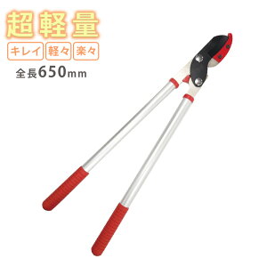 y }  nT~ ZACT }؂΂ ؒfH 62cm UNg Oz ANG-650 { Y