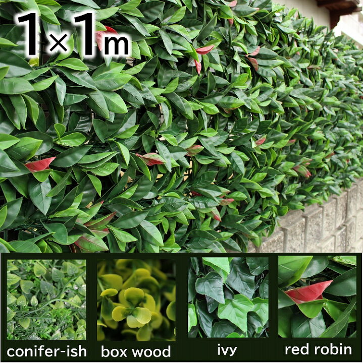 楽天市場 グリーンフェンス 100 100cm リアル レッドロビン あかめがし ボックスウッド グリーンカーテン フェイクグリーン 葉っぱ 目かくし 目隠し シェード ベランダ 屋外 設置簡単 テラス 観葉植物 エクステリア 園芸 ガーデニング ラティス フェンス 緑のカーテン 楽天市場 グリーンフェンス 100 100cm リアル レッドロビン あかめがし ボックスウッド グリーンカーテン フェイクグリーン 葉っぱ 目かくし 目隠し シェード ベランダ 屋外 設置簡単 テラス 観葉植物 エクステリア 園芸 ガーデニング ラティス フェンス 緑のカーテン