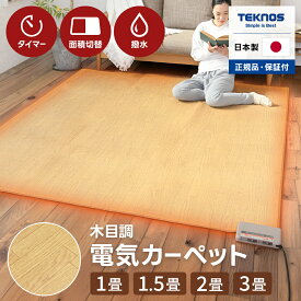 木目調 ホットカーペット 日本製 3畳 フローリング調 195×235cm 撥水 カーペット 電気カーペット 暖房 あったか 足元 リビング ダイニング テーブル ラグ 節電 エコ 床暖房 THT-3000 テクノス TEKNO