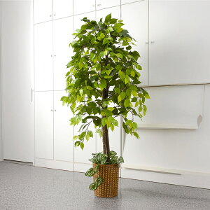 tFCNO[ ^ 150cm 130cm xW~ t VR ϗtA CeA  sv ȒP  j v[g Mtg A lC  y