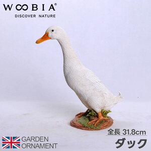 _bN Ђ Aq  IuWF I[ig K[fI[ig u A Aj}  킢 ybg l` E[rA woobia 