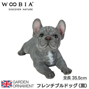 t`uhbO t`  uhbO IuWF I[ig K[fI[ig u K[fjO A Aj}  킢 ybg l` E[rA woobia 