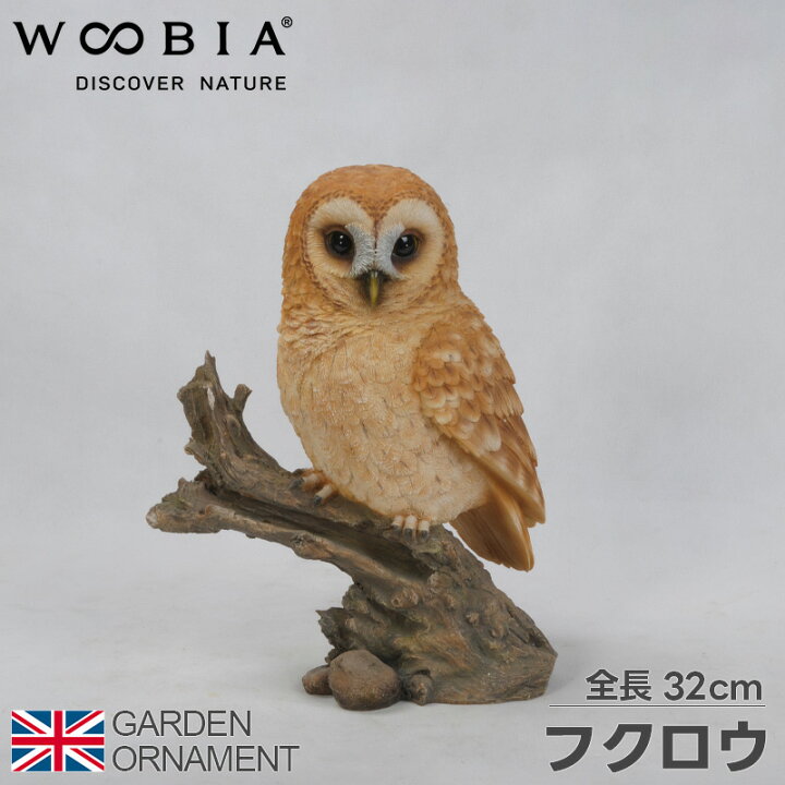 楽天市場】フクロウ ふくろう 梟 鳥 オブジェ オーナメント ガーデン  