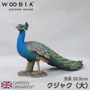 E NWN Ⴍ IuWF I[ig K[fI[ig u A Aj}  킢 ybg l` E[rA woobia 