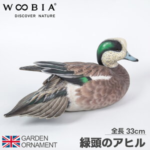 Aq Ђ Ɗ IuWF I[ig K[fI[ig u A Aj}  킢 ybg l` E[rA woobia 